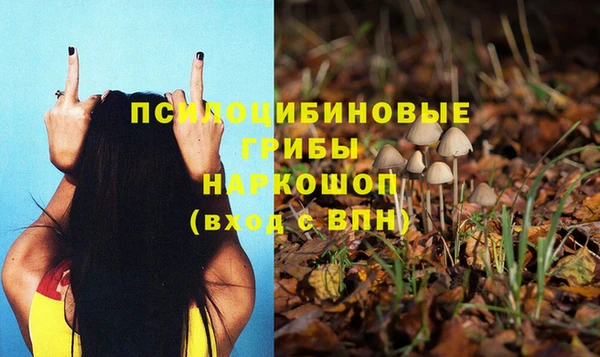a pvp Корсаков