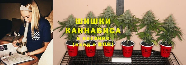 a pvp Корсаков