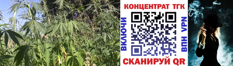 ТГК жижа  Мариинский Посад 