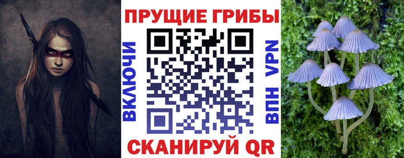 Псилоцибиновые грибы прущие грибы  наркошоп  Мариинский Посад 